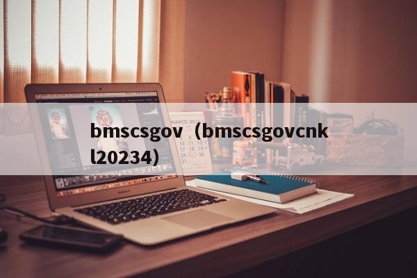 bmscsgov（bmscsgovcnkl20234）