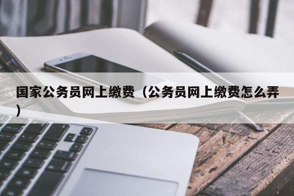 国家公务员网上缴费（公务员网上缴费怎么弄）