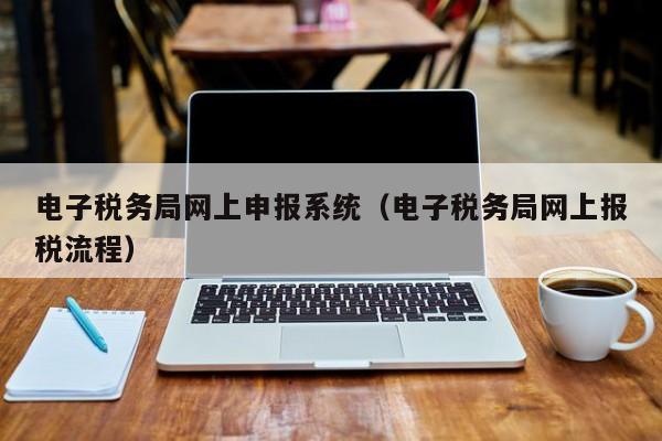 电子税务局网上申报系统（电子税务局网上报税流程）