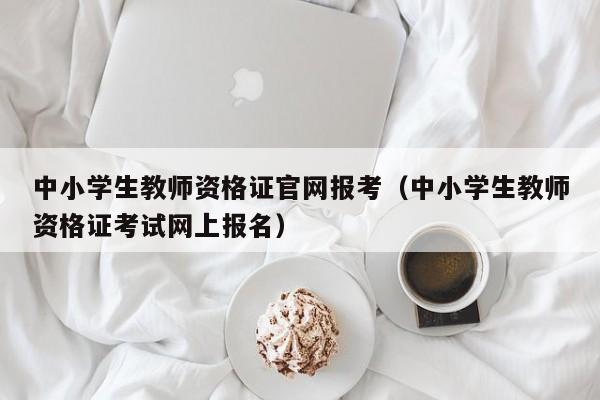 中小学生教师资格证官网报考（中小学生教师资格证考试网上报名）