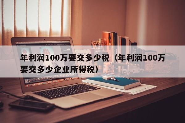 年利润100万要交多少税（年利润100万要交多少企业所得税）