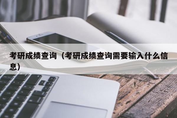 考研成绩查询（考研成绩查询需要输入什么信息）