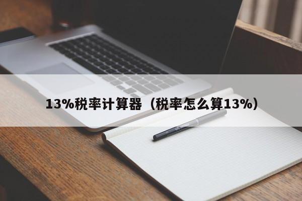 13%税率计算器（税率怎么算13%）