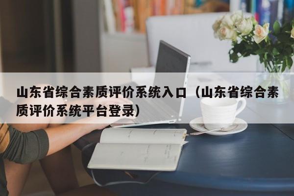 山东省综合素质评价系统入口（山东省综合素质评价系统平台登录）