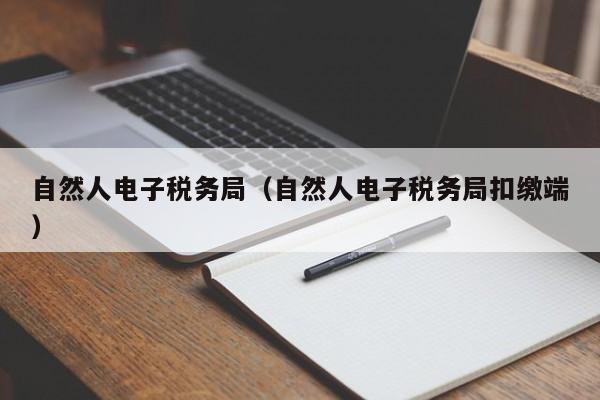 自然人电子税务局（自然人电子税务局扣缴端）