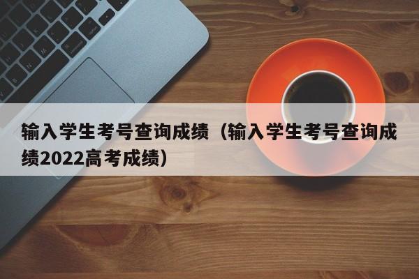 输入学生考号查询成绩（输入学生考号查询成绩2022高考成绩）