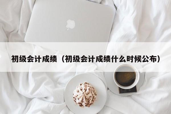 初级会计成绩（初级会计成绩什么时候公布）