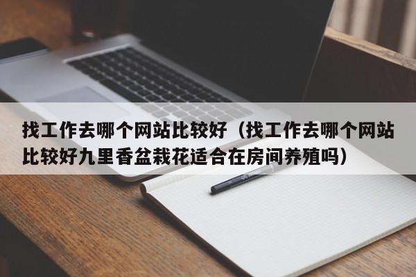 找工作去哪个网站比较好（找工作去哪个网站比较好九里香盆栽花适合在房间养殖吗）