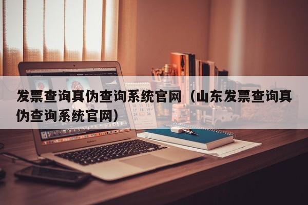 发票查询真伪查询系统官网（山东发票查询真伪查询系统官网）