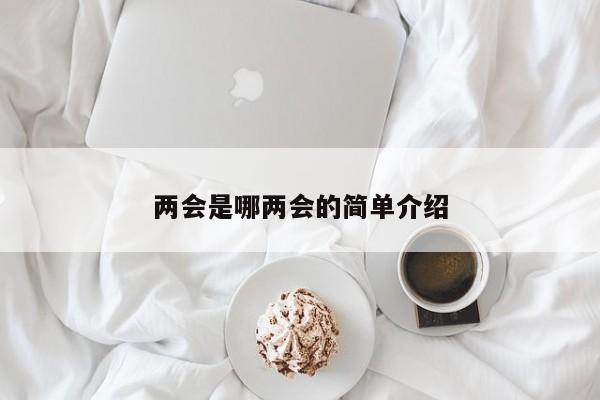 两会是哪两会的简单介绍