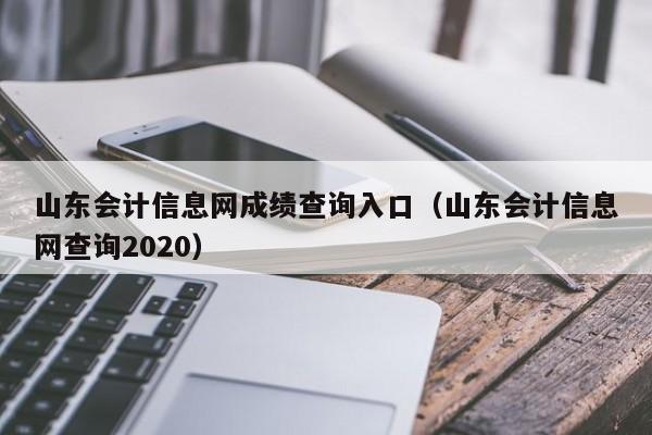 山东会计信息网成绩查询入口（山东会计信息网查询2020）