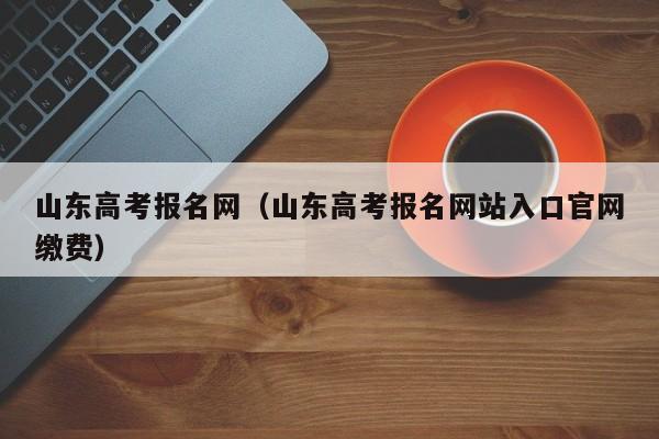 山东高考报名网（山东高考报名网站入口官网缴费）