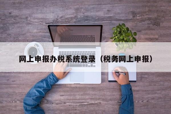 网上申报办税系统登录（税务网上申报）