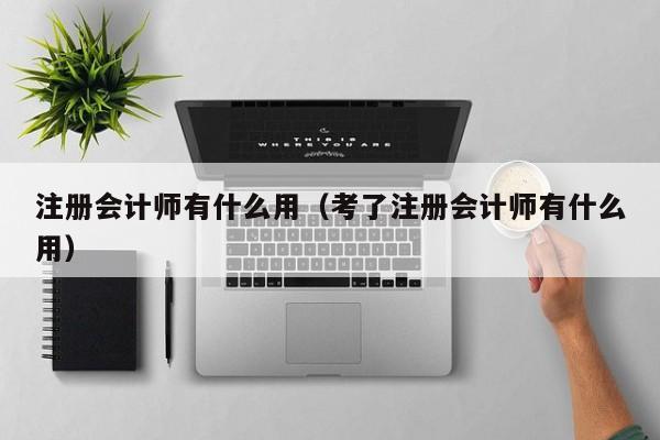 注册会计师有什么用（考了注册会计师有什么用）