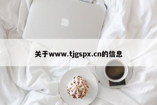 关于www.tjgspx.cn的信息