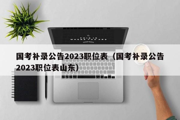 国考补录公告2023职位表（国考补录公告2023职位表山东）