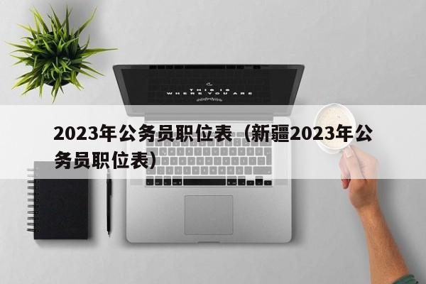 2023年公务员职位表（新疆2023年公务员职位表）