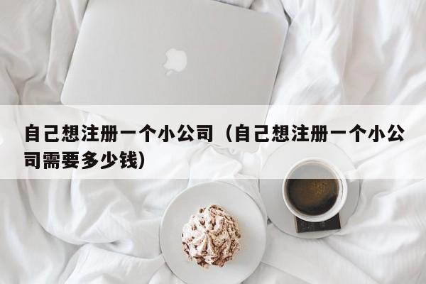 自己想注册一个小公司（自己想注册一个小公司需要多少钱）