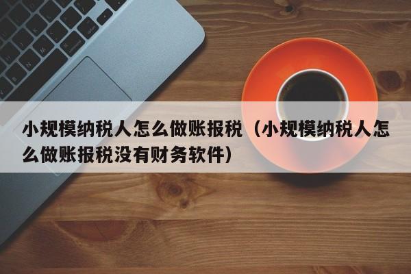 小规模纳税人怎么做账报税（小规模纳税人怎么做账报税没有财务软件）